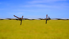Barbed wire abstract