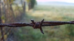 Barbed wire barbedwire