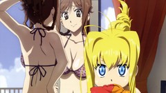 Bare shoulders dragon crisis cleavage bikini top Rose (Dragon 