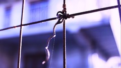 Bars houses blurred background window panes