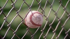 Baseball Chain Link Fence