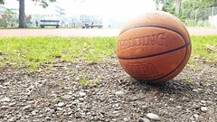 Basketball nba cam spalding