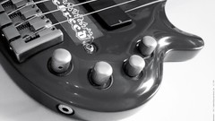 Bass guitars bass guitars