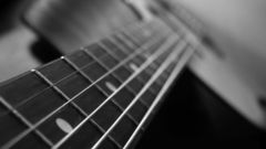 Bass guitars guitars