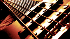 Bass guitars guitars