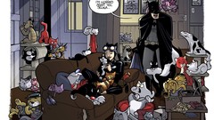 Batman cats Garfield Catwoman Tom the cat hello kitty