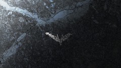 Batman chalk Batman The Dark Knight Rises