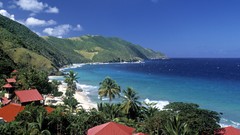 Bay cane virgin islands