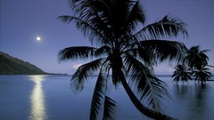 Bay Islands moonlight French Polynesia Moorea