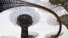 Bay Singapore aerial walkway