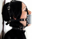 BDSM muzzle