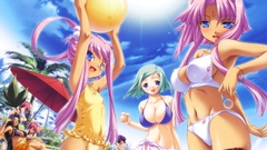 Beach ball koihime musou