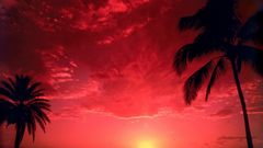 Beach landscape sky nature