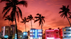 Beach neon Florida Miami south nightlife anyone does