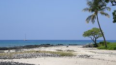 Beach nicholson hosgran nature