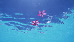 Beach of Okinawa nature