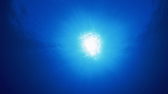 Beach of Okinawa off