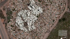 Beaches Bunnies Greenpeace