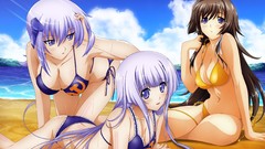 Beaches Inia Sestina Cryska Barchenowa Takamura Yui Muv Luv 