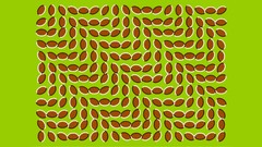 Beans Tricks optical illusions trippy