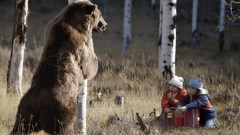 Bears children nature Trees