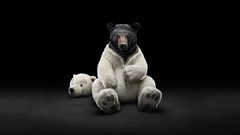 Bears costume Polar Bears black bear