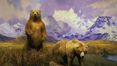 Bears Wild Animals dioramas