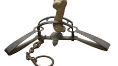 Beartrap kgo Manga Anime