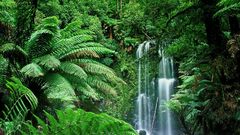 Beauchamp falls victoria Australia