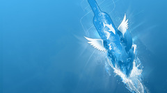 Beautiful crystal blue wings