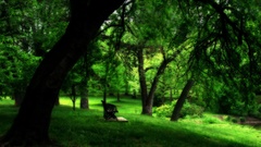 Beautiful paradise Green avenue