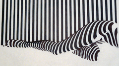 Beauty here The second barcode high Resolution