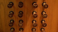 Because totally love organ