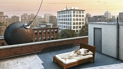 Beds Men destruction rooftops