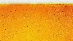 Beer drink high Resolution