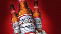 Beers budweiser ice cubes
