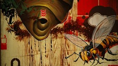 Bees artwork street art Blaine Fontana