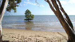 Before high trip aussie Resolution