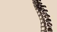 Being spine 4chan apparently anatomical insipid