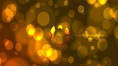 Beings computer ubuntu Linux