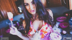 Bella Twins Nikki Bella