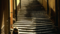 Bellagio street in como