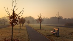 Bench morning hungary walkway