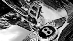 Bentley badge and hood
