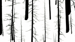 Berdan Trees large high