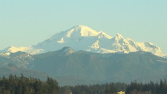 Better view of baker