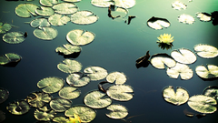 Big better getting slowly quakes