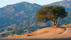 Big dalton dam trail
