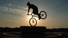 Bike freedom Bicycles silhouettes