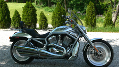 Bike harley vrod